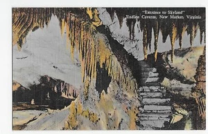 New Market VA Entrance to Skyland Endless Caverns Linen Vintage Postcard - Picture 1 of 2