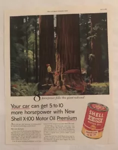 Stampa annuncio 1955 olio motore conchiglia motosega alberi di sequoia giganti - Foto 1 di 1