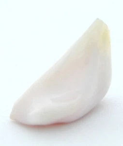 CONCH PERLA NATURAL ROSADO BLANCO FORMA INUSUAL 6.01 CT - Imagen 1 de 4