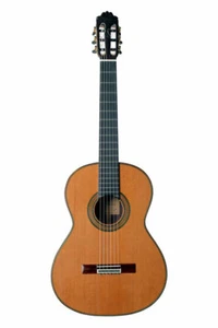 Paulino Bernabe Klassikgitarre 15 4/4 - Bild 1 von 3