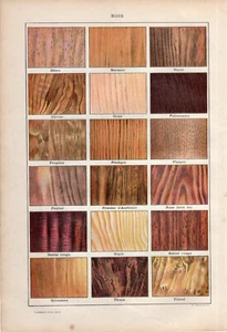 Type of Woods Lumber Images On Both Sides of The Page Larousse - Bild 1 von 3