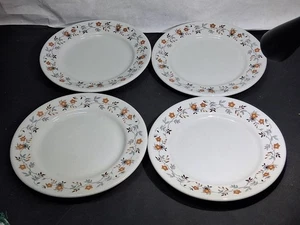4 Shenango RimRol Dinner Plates Restaurant China Ware 9.5" Floral Rim USA - Picture 1 of 11
