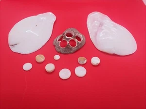 Antique Abalone Mother Of Pearl Unique Family Collection of Great Pieces MINT - Picture 1 of 6