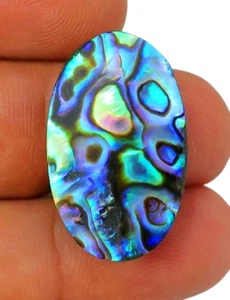 29 CT FUOCO DI AMMOLITE NATURALE RARO GUSCIO DI ABALONE OVALE PIETRA PREZIOSA CABOCHON BL-311 - Foto 1 di 5