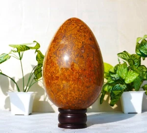 Large 180MM Yellow Fossil Coral Jasper Stone Metaphysical EGG - Picture 1 of 13