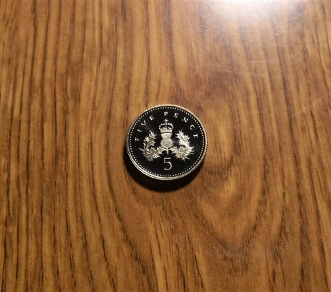 ONE GREAT BRITAIN 5 PENCE 1991 PROOF COIN Cover