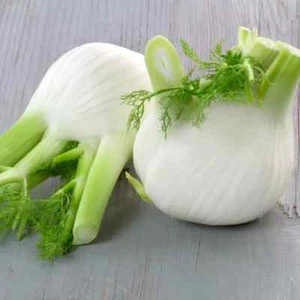 250 Graines - Fenouil Romanesco - Semences Paysannes - BIO - Picture 1 of 1