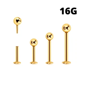 16G HILO ORO ACERO EMPUJE BOLA LABRET BARRA LABIO MEJILLA ANILLO TRAGUS STUD - Imagen 1 de 3