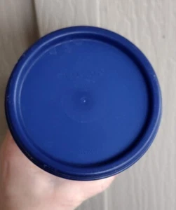 Vintage Tupperware Container Keeper 1641F-2 with Blue Lid 1607H-7 30 Fl oz - Picture 1 of 3