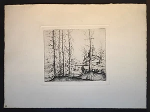 River Landscape, Hirschvogel, Staatsdruckerei Berlin, Stampa 1950 - Picture 1 of 10