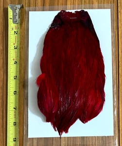 Scarlet Rooster Cape, Neck, Fly Tying, NR - Picture 1 of 2