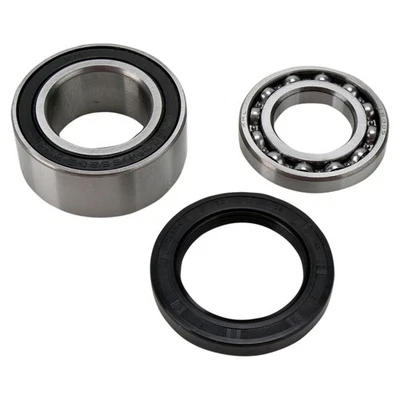 KIT DE COJINETE Y SELLO DE CAJA DE CADENA PARA MOTO DE NIEVE ALL BALLS Foto 1 de 2