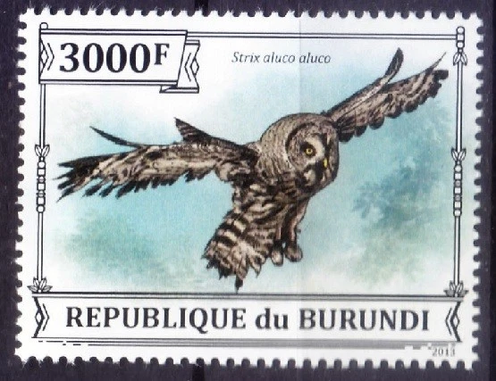 Gran búho gris, Strix nebulosa, aves rapaces, Burundi 2013 MNH  Foto 1 de 1