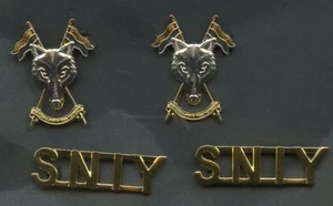 SNIY Scottish & North Irish Yeomanry Collar & Shoulder Title Badges Set - Foto 1 di 2