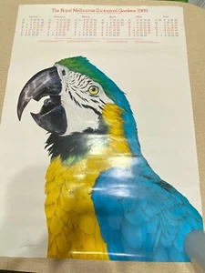 Royal Melbourne Zoological Gardens 1985 Macaw Parrot David Higgins Poster Vntg - Bild 1 von 22