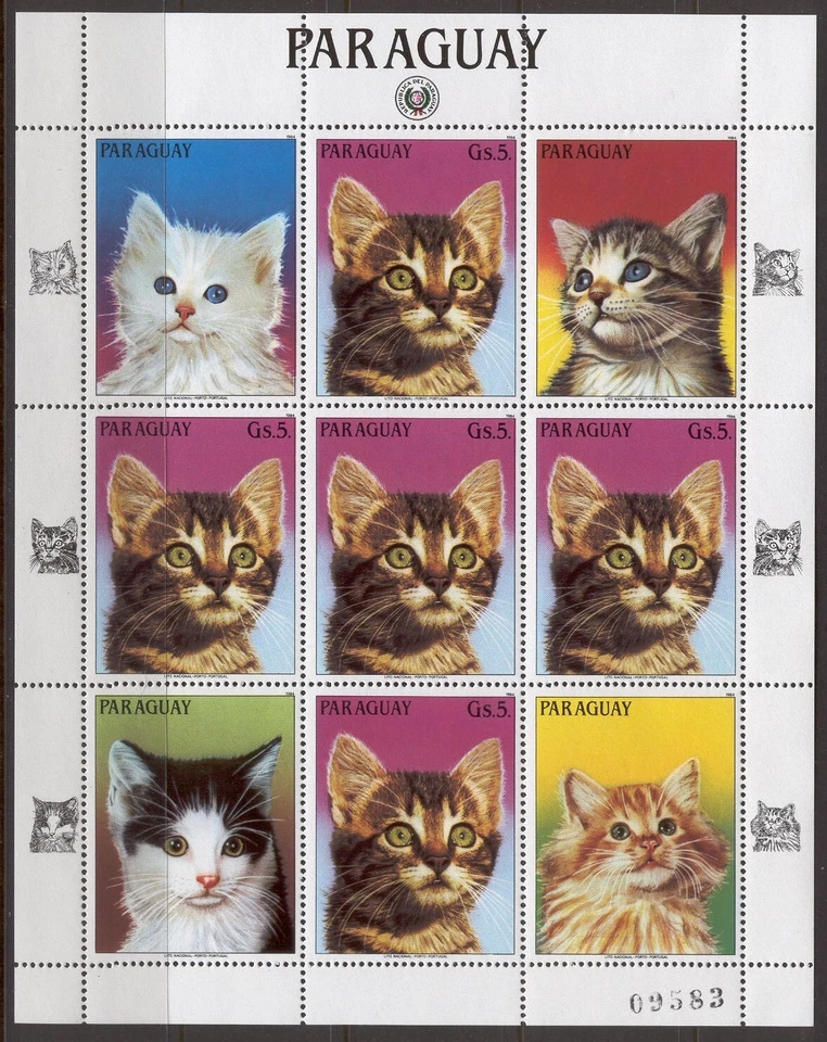 Лист Paraguay B38 1984 домашние животные кошки как новый без наклеек и следов - Изображение 1 из 1