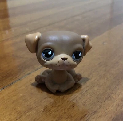 LPS Littlest Pet Shop Marrón Pug Perro Cachorro Pecas Lágrima Ojos Hasbro Usado Foto 1 de 4