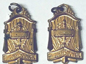 TWO SCHOOL STUDENT COUNCIL PENDANTS - Picture 1 of 2