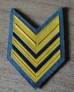 Gradi Pettorali plastica Sergente Maggiore - Esercito Italiano - anni 80 - usati - Foto 1 di 2