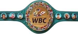 WBC Championship Boxing Belt 3D Replica Adult Titles MIKE TYSON - Picture 1 of 4