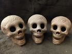 Ceramic Skull Lot