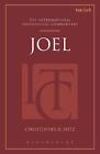 Joel (Itc) By Professor Christopher R. Seitz (English) Hardcover Book