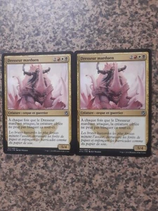 MTG - 2 x Mardu Roughrider - Khans of Tarkir - FRENCH - Picture 1 of 1