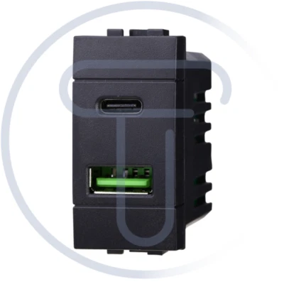 ETTROIT Modulo doppia presa USB 2.0 tipo A e USB 3.1 tipo C, 5Vdc 3,1A, nero Living