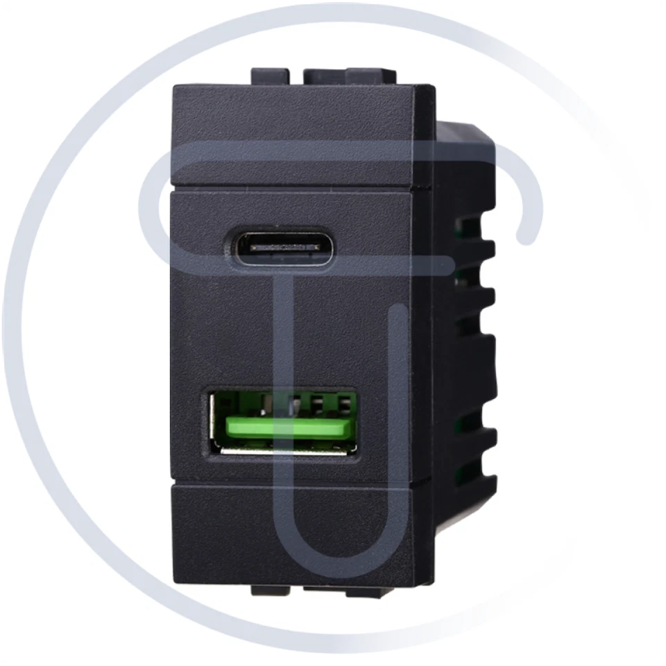 ETTROIT Modulo doppia presa USB 2.0 tipo A e USB 3.1 tipo C, 5Vdc 3,1A, nero Living