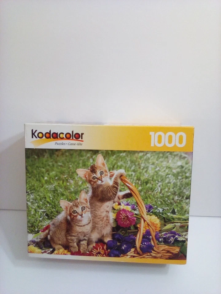 Kodacolor Roseart 1000 piece puzzle “sunrise launch” #21001
