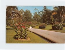 Postcard A View of Botanical Garden Singapore