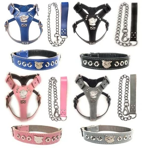 Beautiful Staffordshire Bull Terrier Set with Harness, Collar and Chian Lead - Picture 1 of 12