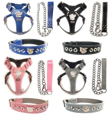 Beautiful Staffordshire Bull Terrier Set with Harness, Collar and Chian Lead - Image 1 of 4