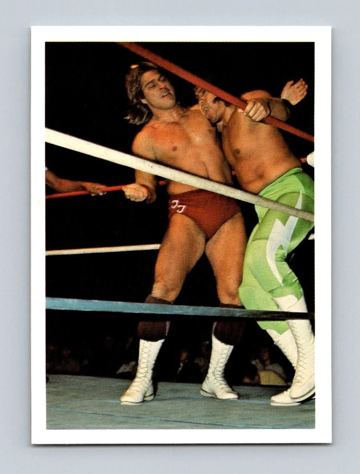 1988 Wonderama NWA #109 Terry Taylor - Image 1 of 2