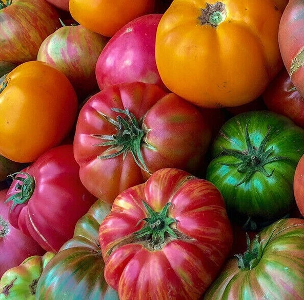 Heirloom Beefsteak Mix | Tomato Seeds | Heirloom | Organic - Image 1 of 1