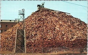 Maine Woodpile Postcard M-1009  Unposted - Picture 1 of 2