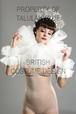 White Tulle Mesh circus neck ruff pierrot clown collar costume fancy dress
