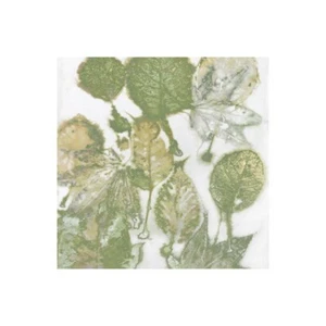 Stampa su Tela su Carta Poster o Quadro Carson Danielle Nature I - Picture 1 of 2