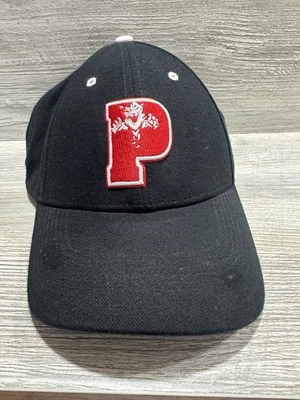 Gorra de hockey Nike Florida Panthers DriFit talla M/L negra ajustada NHL *Ver detalles Foto 1 de 4