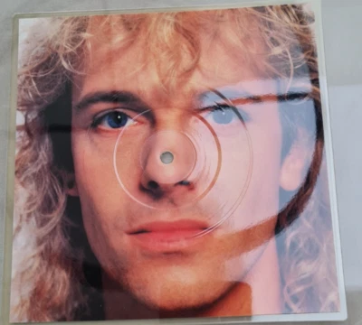 PETER FRAMPTON LYING  8" SQUARE PIC DISC VIRGIN (1986) MINT ROCK POP UK - Image 1 of 3