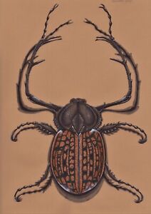 Original Watercolor Painting Artwork Beetle Bug 9x12 Ink Pen Pseudo Taxidermy