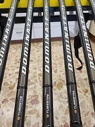 TUBERTINI DOMINATE TS STORIONI-BIG FISH SPECIALIST MT 4,20 NEW MODEL  - Immagine 1 di 1