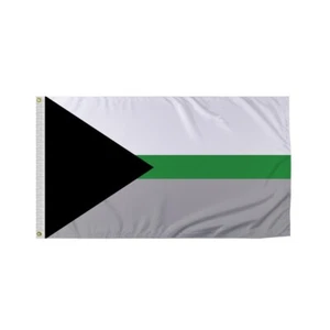 PromoPatriot's Demiromantic Pride Flag- Multi Size- Demiro Flag- Celebrate Pride - Picture 1 of 9