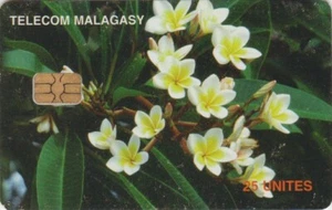 Télécarte MADAGASCAR - Arbre Frangipanier - Blossom tree Chip phonecard - Imagen 1 de 1
