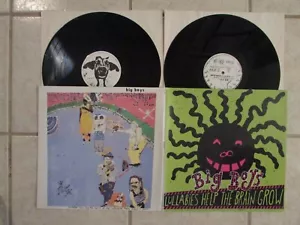 Big Boys Lullabies Help The Brain Grow/No Matter How Long 2004 2LP X Mist Import - Picture 1 of 5