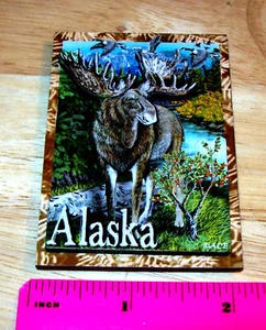 Imán de madera 3D Alaska Bull Moose - ¡Combinamos artículos y enviamos a todo el mundo! - Imagen 1 de 1