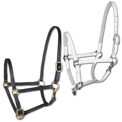 Waldhausen STAR Vorführhalfter für Fohlen Fohlenhalfter - Bild 1 von 3