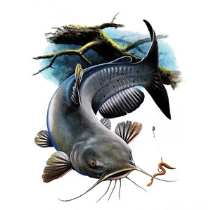 TEE SHIRT Haute Qualité,  POISSON CHAT. CATFISH .      S  M  L  XL  XXL  XXXL    - Picture 1 of 1