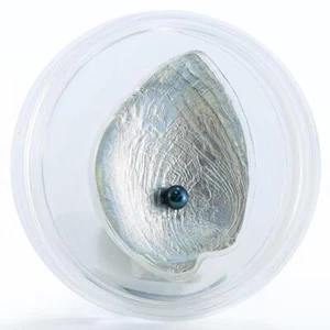 Palau 2012 5$ Sea Treasures "Pearl Haliotis Iris" 25 g Silver Proof Coin - Picture 1 of 5