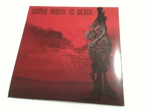 WORLD BURNS TO DEATH / SLANG 7" Prank Records Butcher Forward Framtid crust - Picture 1 of 3